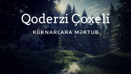 Qoderzi Çoxeli - Küknarlara məktub