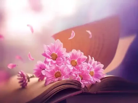 Yeni poeziya platforması: Seir.Az oxucuların ixtiyarında!