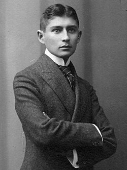 Frans Kafka - Kənd həkimi